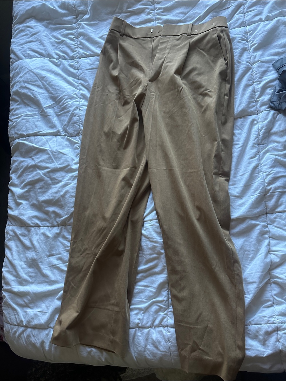 Classic Women’s Dress Pants in Tan